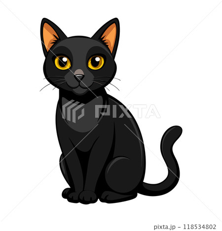 A black cat with yellow eyes is sitting on a white background 118534802