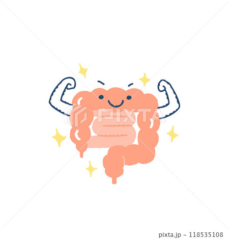 元気な大腸のイメージ 118535108
