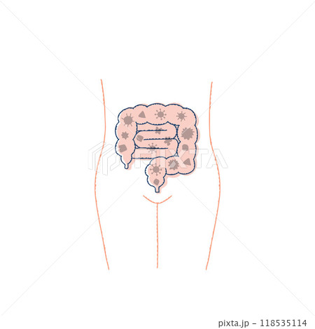 不健康な腸内環境・悪玉菌の多い腸 118535114