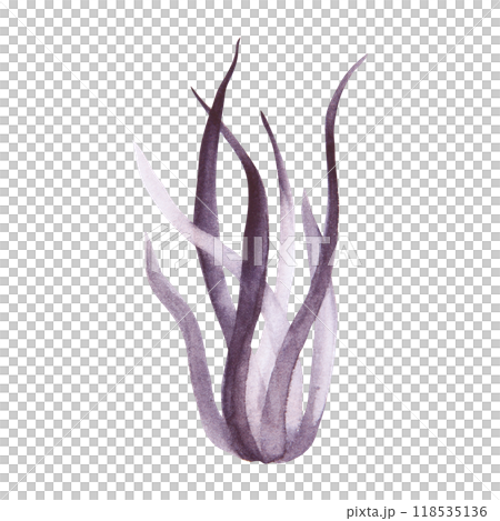 Black bunch of grass. Monochrome grass tuft. Plant botanical clip art. Dark floral illustration in watercolor hand drawn, cut out and isolated. Suitable for Halloween, funerals, wedding invitations 118535136