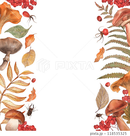 Vertical frame with autumn forest mushrooms, leaves, berries. Chanterelles, porcini mushrooms, fly agarics, rowan berries, fern leaves, oak are hand-drawn with watercolors in a botanical style. 118535325