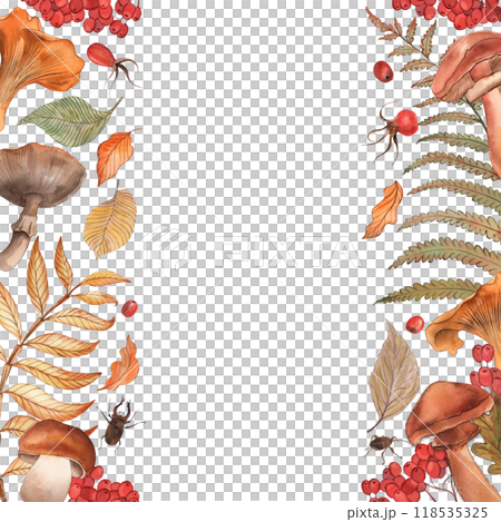 Vertical frame with autumn forest mushrooms, leaves, berries. Chanterelles, porcini mushrooms, fly agarics, rowan berries, fern leaves, oak are hand-drawn with watercolors in a botanical style. 118535325