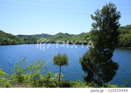 岡山県玉野市　天王池 118535449