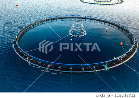 Norway marine fish farms with round enclosures closeup. Farm infrastructure with circular net cages promote sustainable and productive aquaculture 118535712