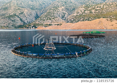 Fish farm with circular nets in calm water surrounded by mountains and lush greenery. 118535716