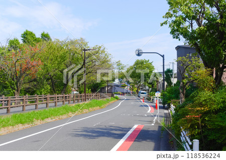 東京都葛飾区水元公園周辺2024年9月 118536224