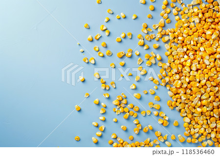 Raw dry corn seeds on blue background 118536460