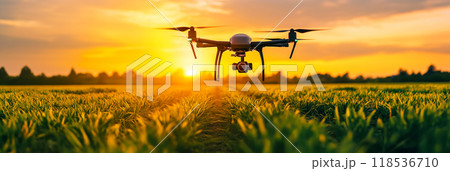 Drone flying over a field. Modern agriculture 118536710