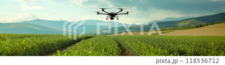 Drone flying over a field. Modern agriculture 118536712