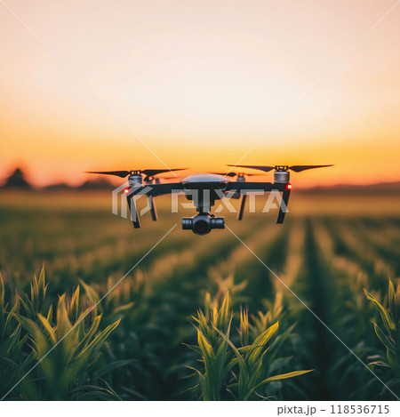 Drone flying over a field. Modern agriculture 118536715
