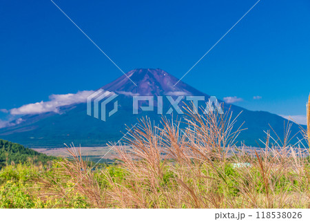 【山梨県】忍野のススキ越しに初秋の富士 【山梨県】忍野のススキ越しに初秋の富士 118538026