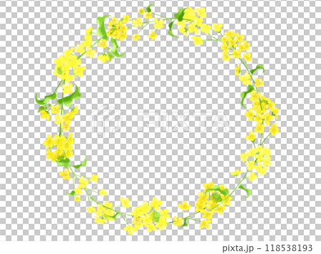 油菜花手寫水彩花環 油菜花手寫水彩花環 118538193