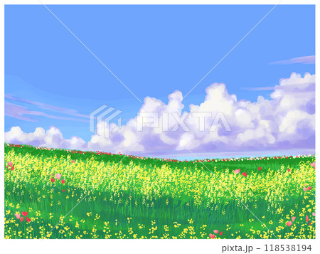 葉の花畑と青空と雲 118538194