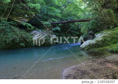 小田深山渓谷 丸太橋の景観 (愛媛県 内子町) 小田深山渓谷 丸太橋の景観 (愛媛県 内子町) 118538207