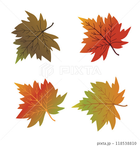 maple leaves fall autumn season vector illustration	 118538810