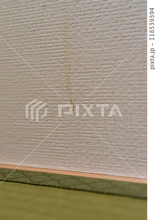 家の壁紙についたコーヒーのシミ 118539394