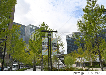GRAND GREEN OSAKA 2024.9.6 START GRAND GREEN OSAKA 2024.9.6 START 118539768