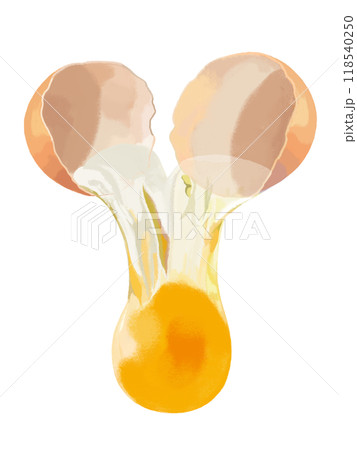 玉子(割り落とし)赤たまご 玉子(割り落とし)赤たまご 118540250