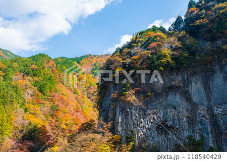 巌立峡(秋) 巌立峡(秋) 118540429