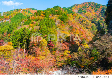 巌立峡(秋) 巌立峡(秋) 118540463