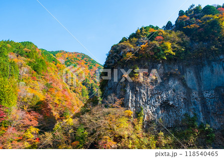 巌立峡（秋） 118540465