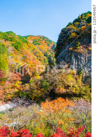 巌立峡(秋) 巌立峡(秋) 118540467