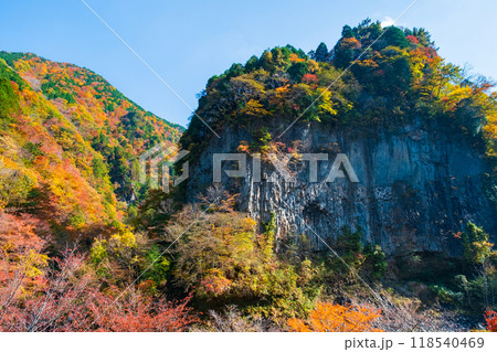 巌立峡（秋） 118540469