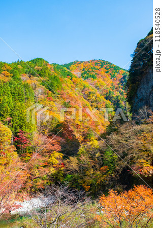 巌立峡(秋) 巌立峡(秋) 118540528