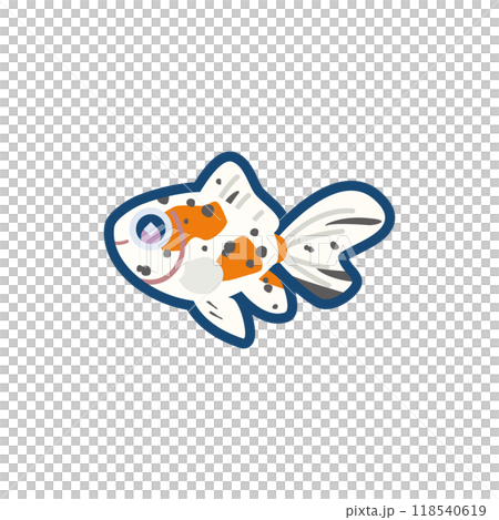可愛的金魚（極光）的插圖 118540619