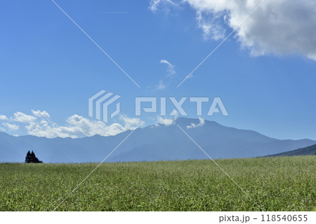 蕎麦畑と恵那山 118540655