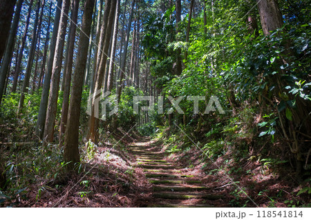 奈良・御所 高天彦神社 参道 奈良・御所 高天彦神社 参道 118541814