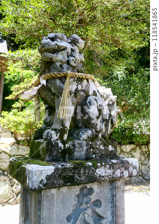 奈良・御所 高天彦神社 狛犬 奈良・御所 高天彦神社 狛犬 118541865