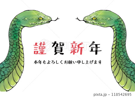 2025年巳年の年賀状デザイン 2025年巳年の年賀状デザイン 118542695