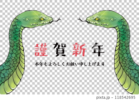 2025年巳年の年賀状デザイン 2025年巳年の年賀状デザイン 118542695
