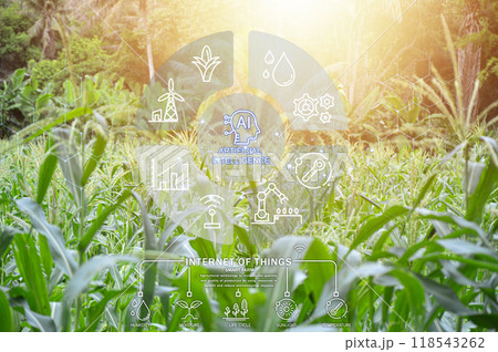 Ideas for using AI systems in conjunction with agriculture to increase productivity 118543262