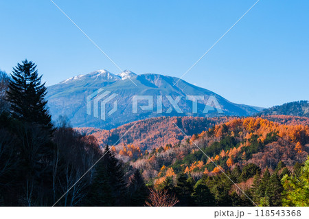野麦峠から望む乗鞍岳（秋） 118543368