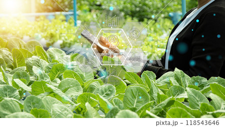 The concept of using AI and smart farming. The concept of using AI and smart farming. 118543646