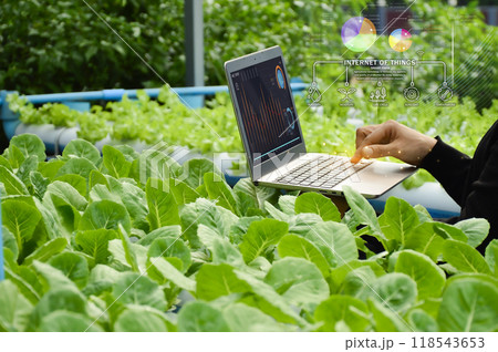 The concept of using AI and smart farming. The concept of using AI and smart farming. 118543653
