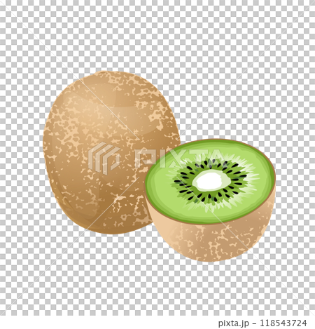 グリーンキウイのイラスト 118543724