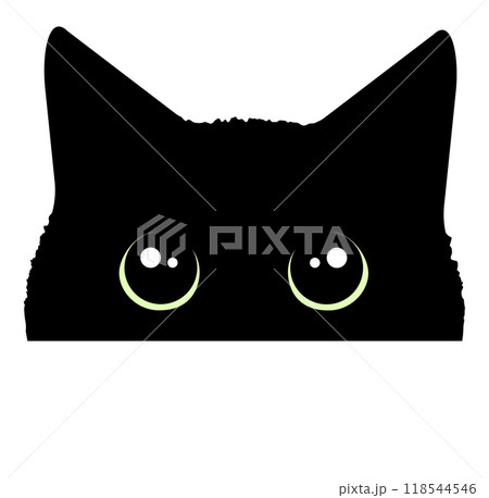 目がクリクリの黒猫の顔 118544546