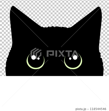 目がクリクリの黒猫の顔 118544546