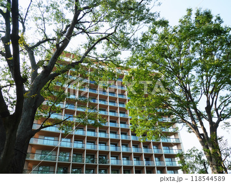 樹木に囲まれたホテル|神宮外苑の杜 樹木に囲まれたホテル|神宮外苑の杜 118544589