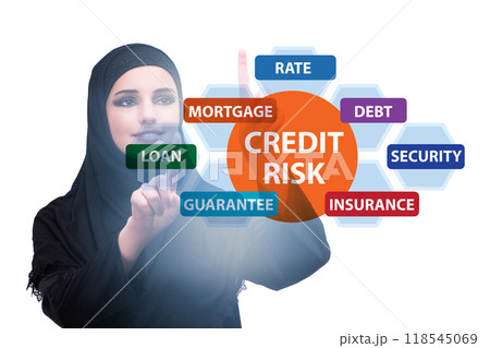 Credit risk concept in modern banking 118545069
