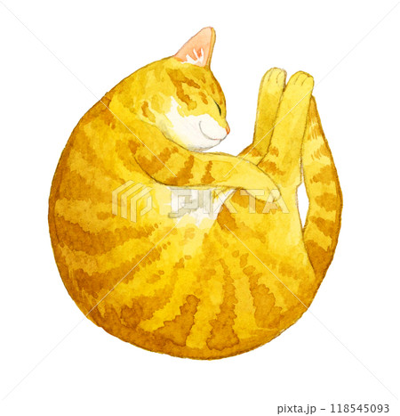 丸くなって眠る茶トラ猫（ニャンモナイト） ペット・動物の手描き水彩