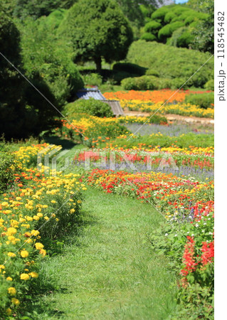 能古島アイランドパークの美しい花畑の中の小径の風景 能古島アイランドパークの美しい花畑の中の小径の風景 118545482