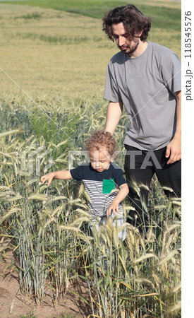Father and little boy in field with spikelets of wheat. Family lifestyle. Nature and discovery. Kids and activities. 118545576