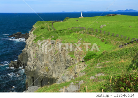【佐賀県】肥前立石埼灯台と杉の原放牧場 118546514