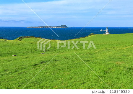 【佐賀県】肥前立石埼灯台と杉の原放牧場と小川島 118546529