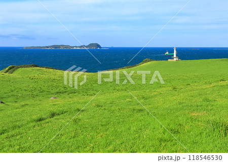 【佐賀県】肥前立石埼灯台と杉の原放牧場と小川島 118546530