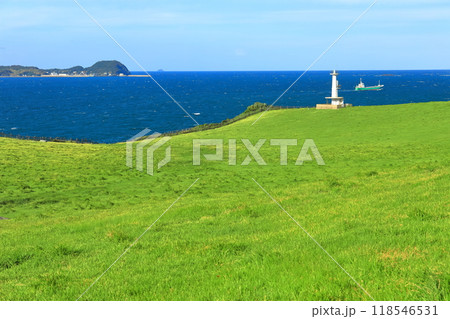 【佐賀県】肥前立石埼灯台と杉の原放牧場と小川島 118546531